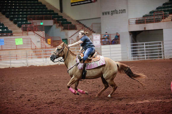 www.ngaphoto.com 2015 Georgia Federation of Saddle Clubs Championship Horse Show