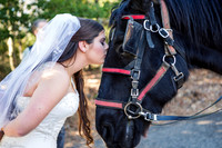 Castle Wedding
