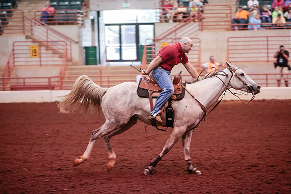 www.ngaphoto.com 2015 Georgia Federation of Saddle Clubs Championship Horse Show