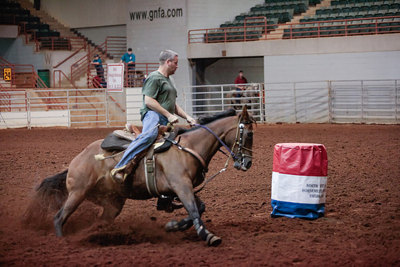 www.ngaphoto.com 2015 Georgia Federation of Saddle Clubs Championship Horse Show
