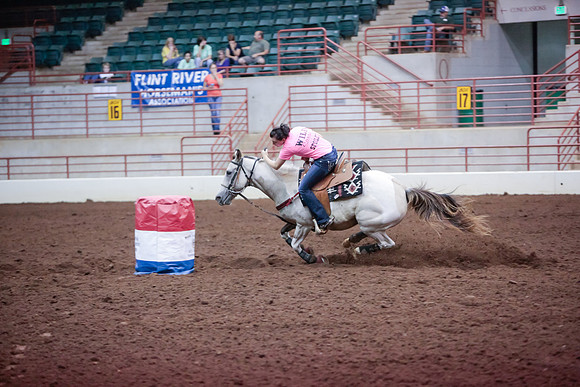 www.ngaphoto.com 2015 Georgia Federation of Saddle Clubs Championship Horse Show
