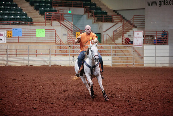 www.ngaphoto.com 2015 Georgia Federation of Saddle Clubs Championship Horse Show