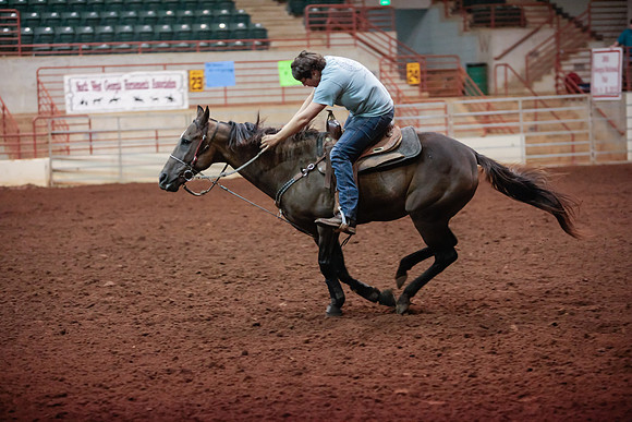 www.ngaphoto.com 2015 Georgia Federation of Saddle Clubs Championship Horse Show