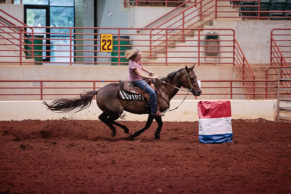 www.ngaphoto.com 2015 Georgia Federation of Saddle Clubs Championship Horse Show