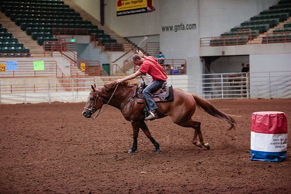 www.ngaphoto.com 2015 Georgia Federation of Saddle Clubs Championship Horse Show