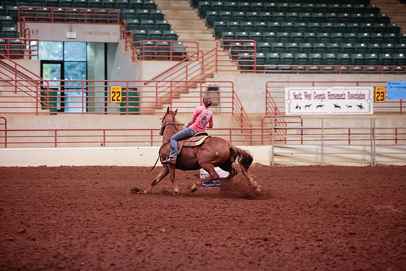 www.ngaphoto.com 2015 Georgia Federation of Saddle Clubs Championship Horse Show
