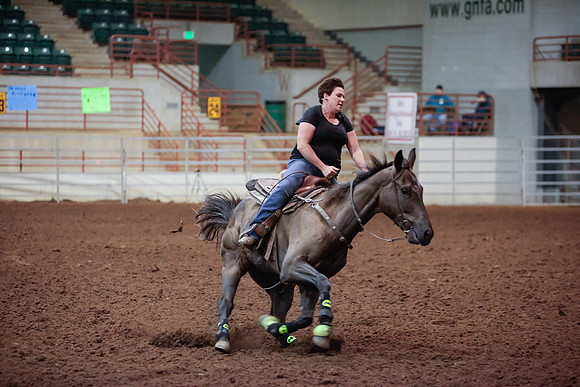 www.ngaphoto.com 2015 Georgia Federation of Saddle Clubs Championship Horse Show