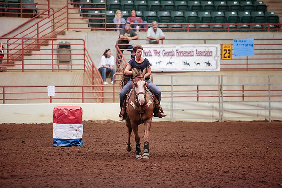 www.ngaphoto.com 2015 Georgia Federation of Saddle Clubs Championship Horse Show
