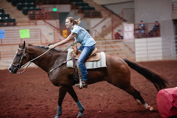www.ngaphoto.com 2015 Georgia Federation of Saddle Clubs Championship Horse Show