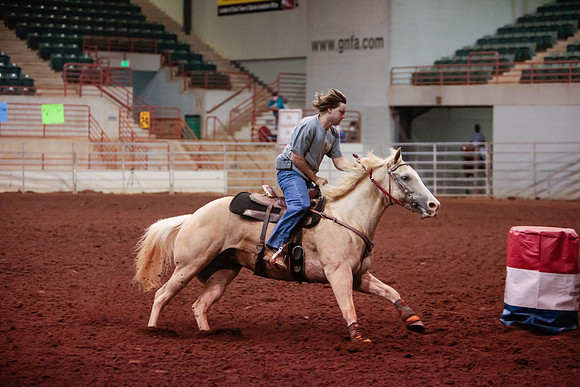 www.ngaphoto.com 2015 Georgia Federation of Saddle Clubs Championship Horse Show