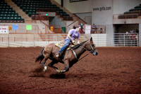 www.ngaphoto.com 2015 Georgia Federation of Saddle Clubs Championship Horse Show