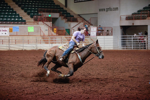 www.ngaphoto.com 2015 Georgia Federation of Saddle Clubs Championship Horse Show
