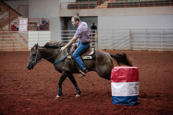 www.ngaphoto.com 2015 Georgia Federation of Saddle Clubs Championship Horse Show
