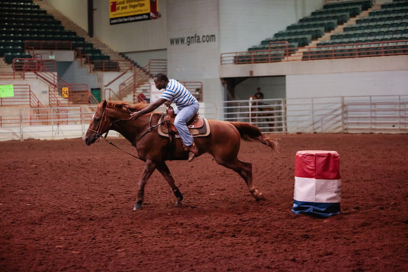 www.ngaphoto.com 2015 Georgia Federation of Saddle Clubs Championship Horse Show
