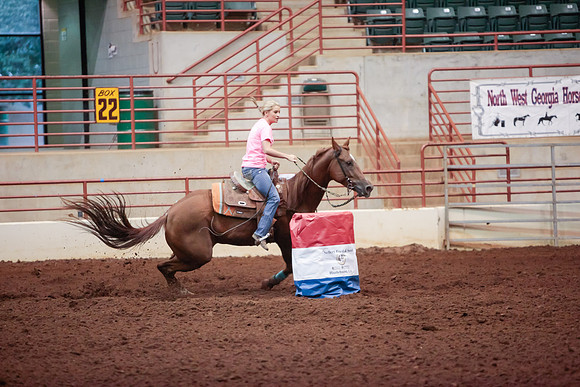 www.ngaphoto.com 2015 Georgia Federation of Saddle Clubs Championship Horse Show