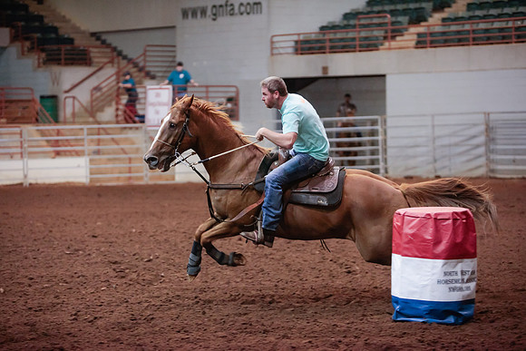 www.ngaphoto.com 2015 Georgia Federation of Saddle Clubs Championship Horse Show