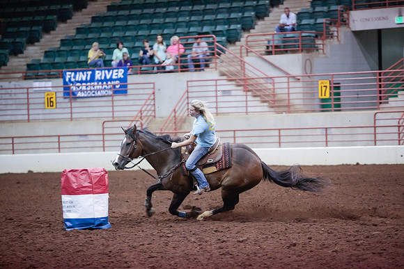www.ngaphoto.com 2015 Georgia Federation of Saddle Clubs Championship Horse Show