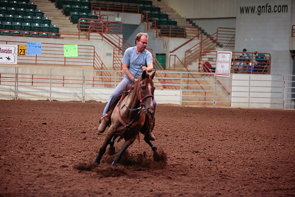 www.ngaphoto.com 2015 Georgia Federation of Saddle Clubs Championship Horse Show