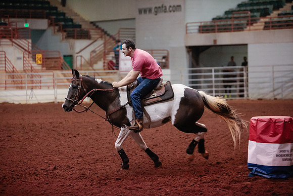 www.ngaphoto.com 2015 Georgia Federation of Saddle Clubs Championship Horse Show