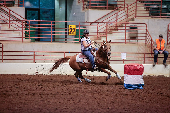 www.ngaphoto.com 2015 Georgia Federation of Saddle Clubs Championship Horse Show