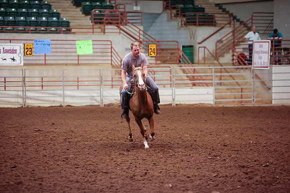 www.ngaphoto.com 2015 Georgia Federation of Saddle Clubs Championship Horse Show