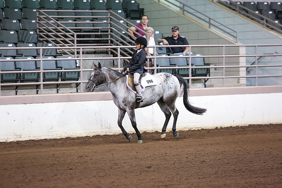 www.ngaphoto.com 2015 Georgia Federation of Saddle Clubs Championship Horse Show