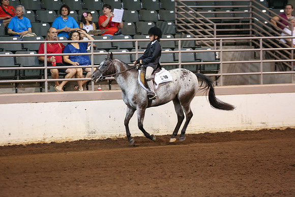 www.ngaphoto.com 2015 Georgia Federation of Saddle Clubs Championship Horse Show