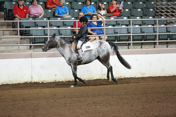 www.ngaphoto.com 2015 Georgia Federation of Saddle Clubs Championship Horse Show