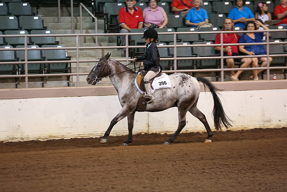 www.ngaphoto.com 2015 Georgia Federation of Saddle Clubs Championship Horse Show