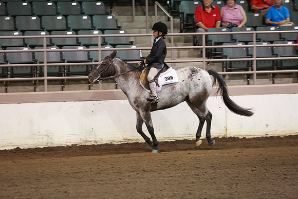 www.ngaphoto.com 2015 Georgia Federation of Saddle Clubs Championship Horse Show
