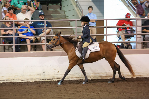 www.ngaphoto.com 2015 Georgia Federation of Saddle Clubs Championship Horse Show