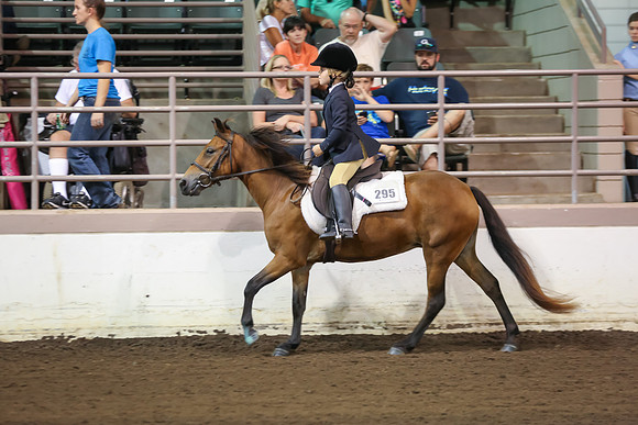 www.ngaphoto.com 2015 Georgia Federation of Saddle Clubs Championship Horse Show