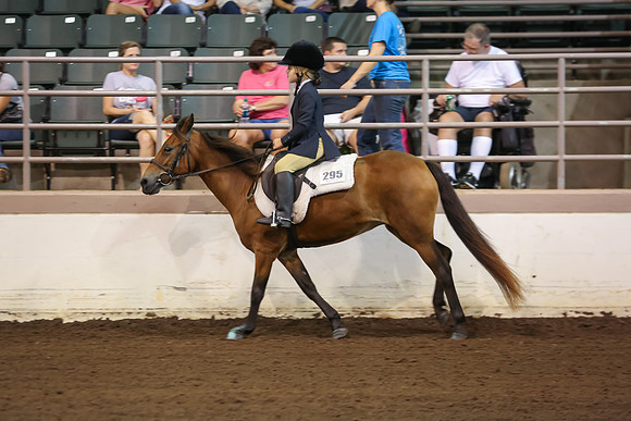 www.ngaphoto.com 2015 Georgia Federation of Saddle Clubs Championship Horse Show