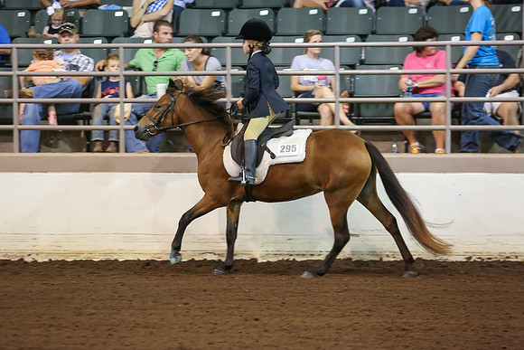 www.ngaphoto.com 2015 Georgia Federation of Saddle Clubs Championship Horse Show