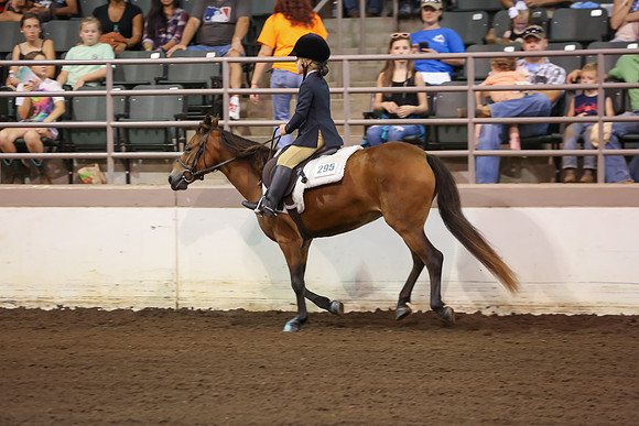 www.ngaphoto.com 2015 Georgia Federation of Saddle Clubs Championship Horse Show