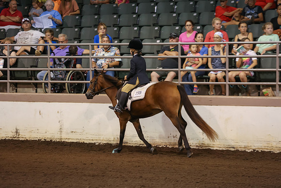 www.ngaphoto.com 2015 Georgia Federation of Saddle Clubs Championship Horse Show