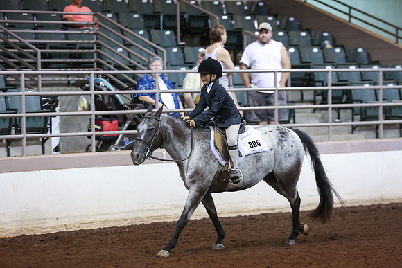www.ngaphoto.com 2015 Georgia Federation of Saddle Clubs Championship Horse Show