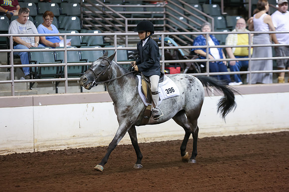 www.ngaphoto.com 2015 Georgia Federation of Saddle Clubs Championship Horse Show