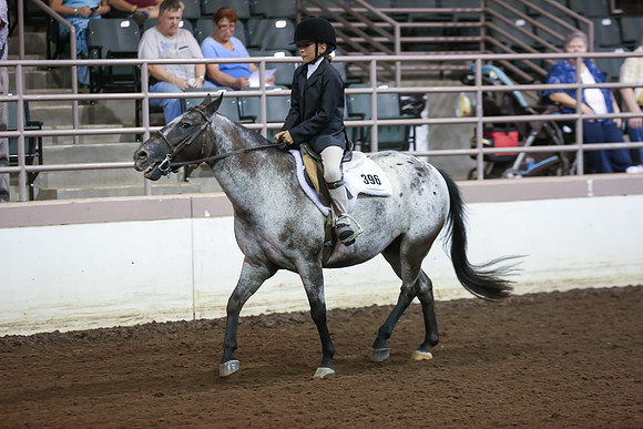 www.ngaphoto.com 2015 Georgia Federation of Saddle Clubs Championship Horse Show