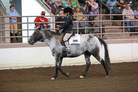 www.ngaphoto.com 2015 Georgia Federation of Saddle Clubs Championship Horse Show