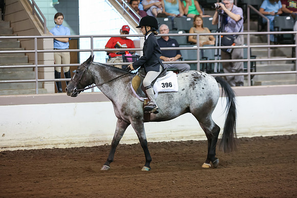 www.ngaphoto.com 2015 Georgia Federation of Saddle Clubs Championship Horse Show