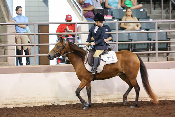 www.ngaphoto.com 2015 Georgia Federation of Saddle Clubs Championship Horse Show