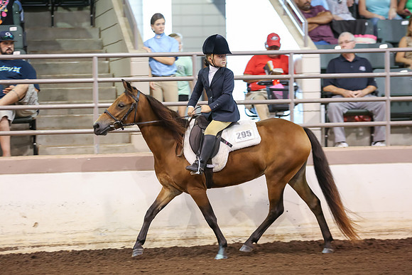 www.ngaphoto.com 2015 Georgia Federation of Saddle Clubs Championship Horse Show
