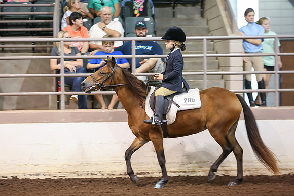 www.ngaphoto.com 2015 Georgia Federation of Saddle Clubs Championship Horse Show