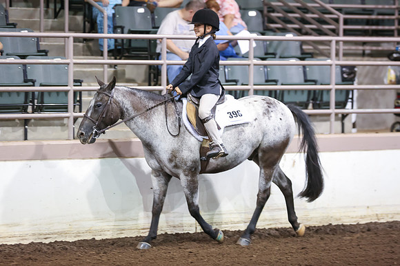 www.ngaphoto.com 2015 Georgia Federation of Saddle Clubs Championship Horse Show