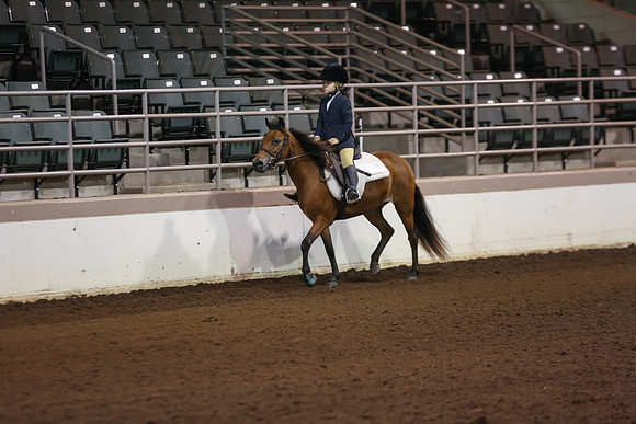 www.ngaphoto.com 2015 Georgia Federation of Saddle Clubs Championship Horse Show