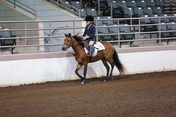 www.ngaphoto.com 2015 Georgia Federation of Saddle Clubs Championship Horse Show