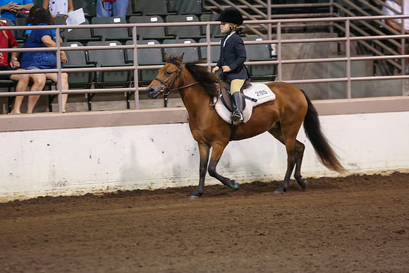 www.ngaphoto.com 2015 Georgia Federation of Saddle Clubs Championship Horse Show