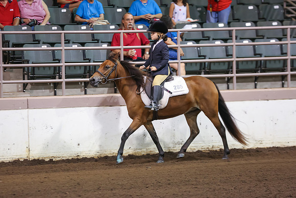 www.ngaphoto.com 2015 Georgia Federation of Saddle Clubs Championship Horse Show