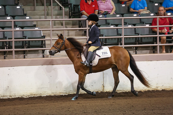 www.ngaphoto.com 2015 Georgia Federation of Saddle Clubs Championship Horse Show